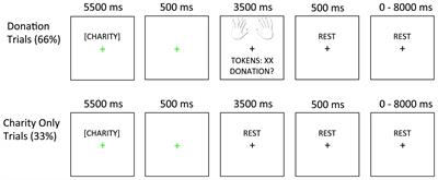 Altruistic responses to the most vulnerable involve sensorimotor processes